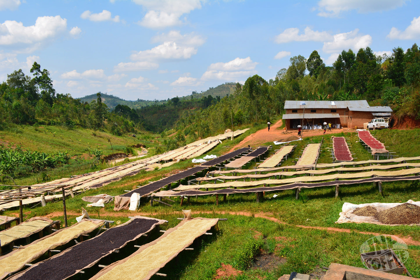 Burundi - Kayanza Province: Incuti