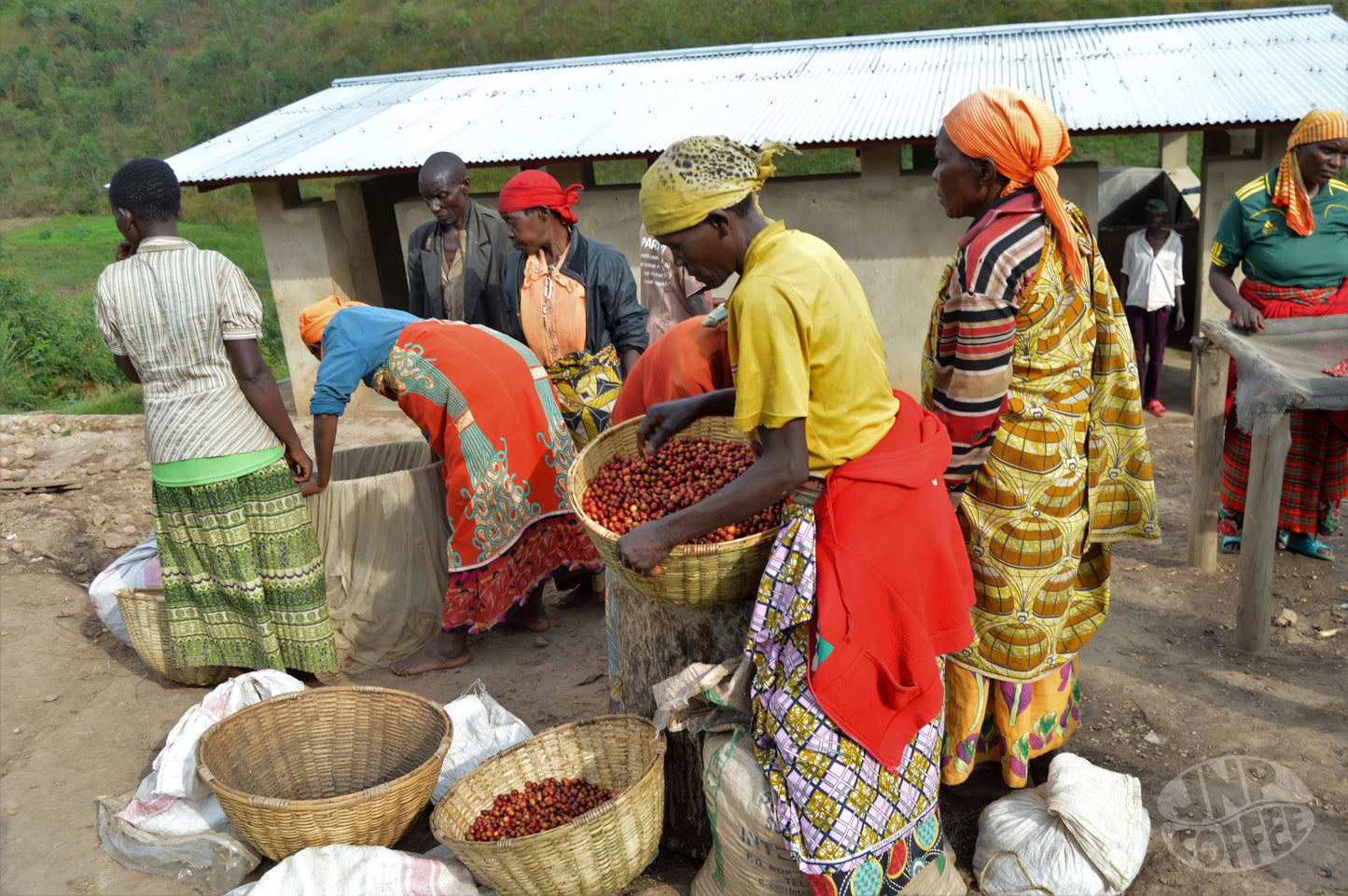 Burundi - Ngozi Province: Turihamwe