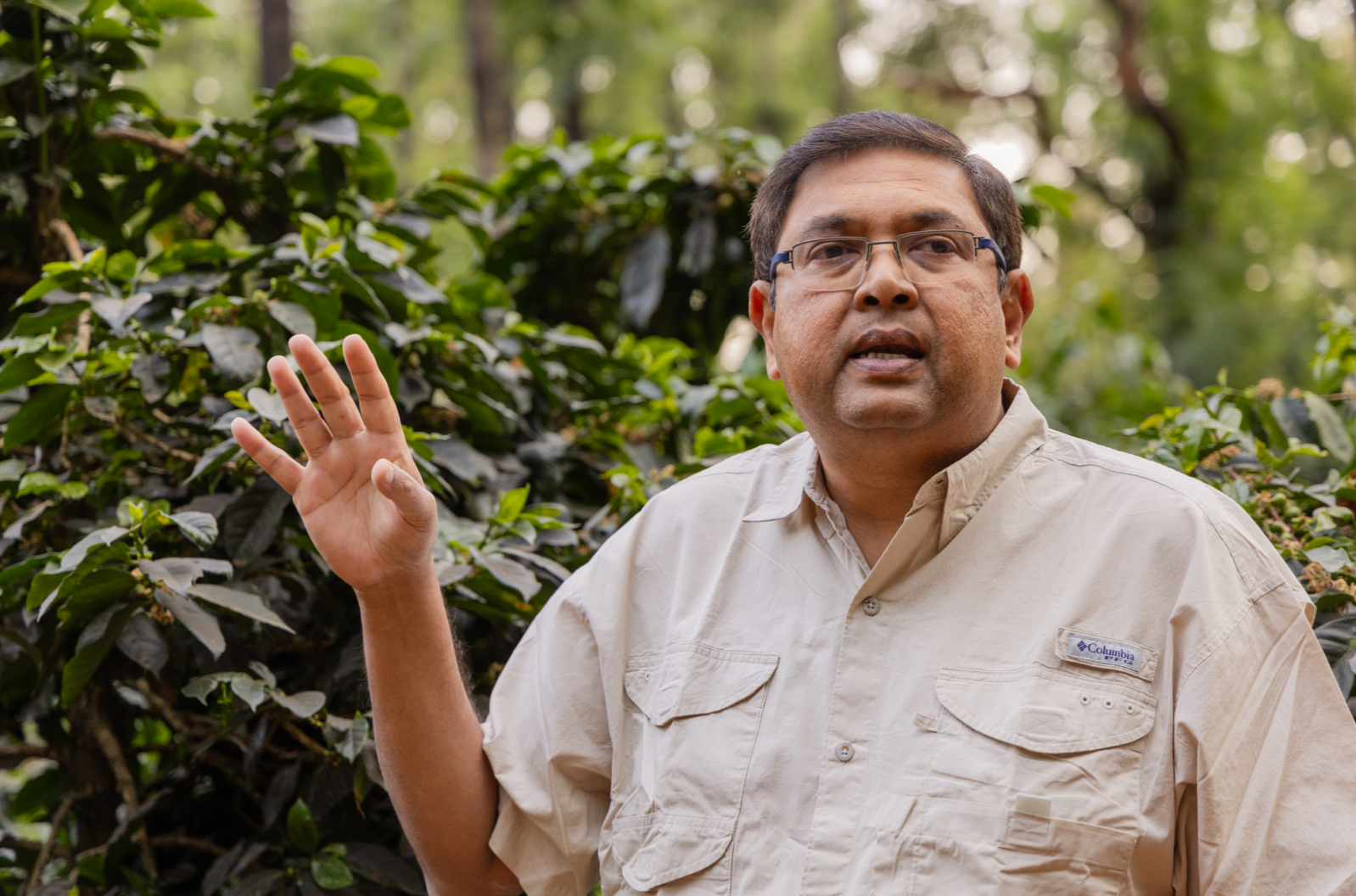 Man in a beige shirt standing in a coffee plantation