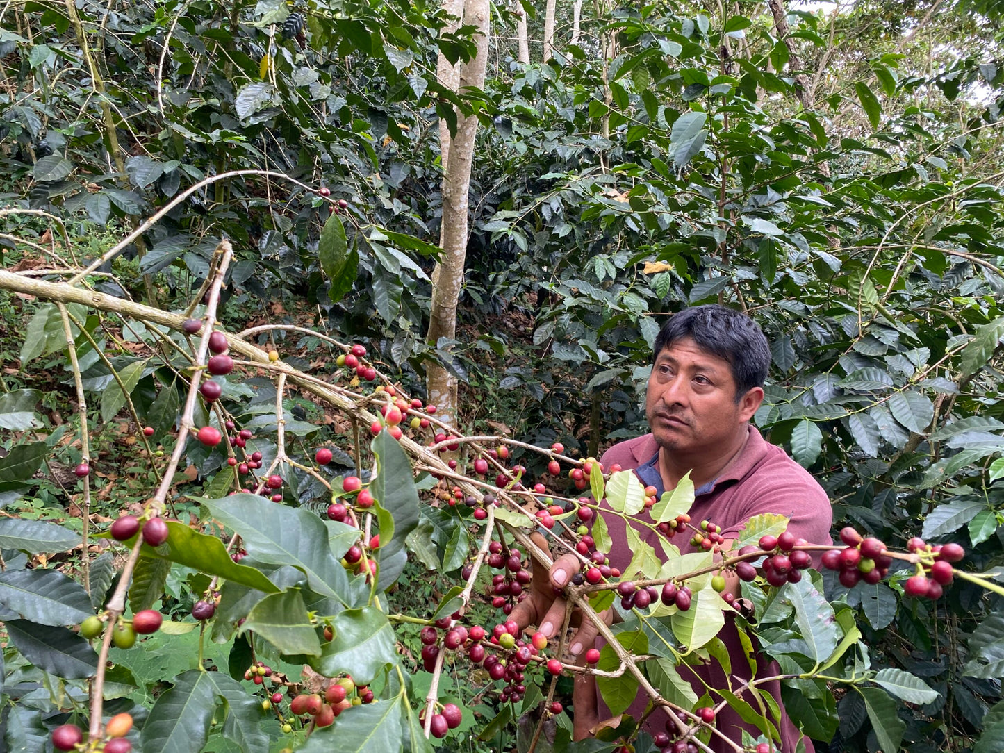 Mexico - Oaxaca: Pompilio Garcia Luna