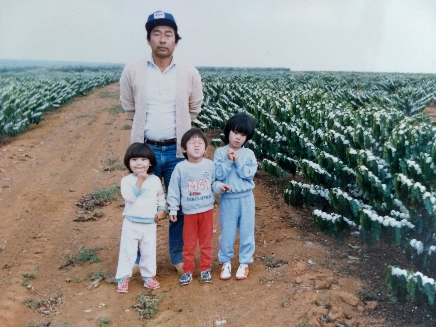 Man and three children standing in between rows of coffee plants on a farm