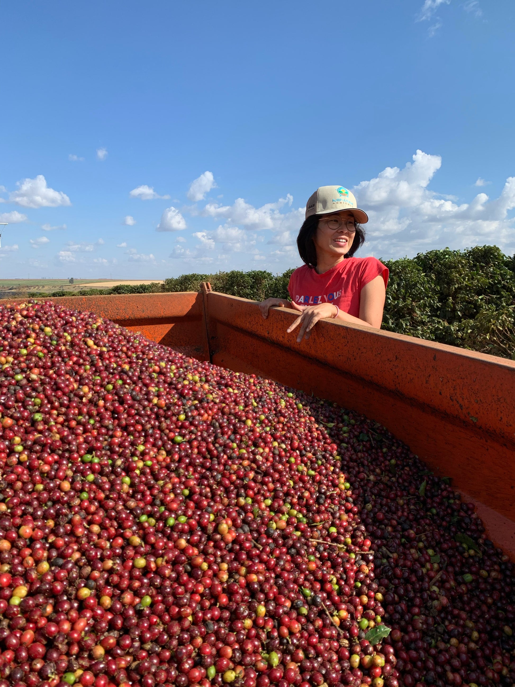 Person standing next to a truck bed full of red coffee cherries