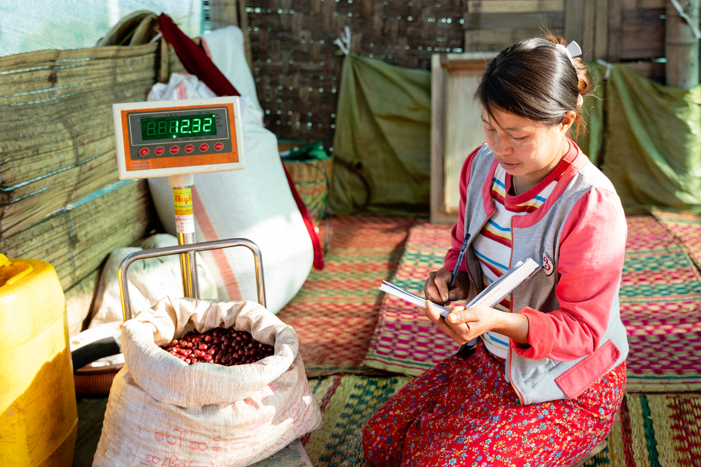 Woman kneeling on ground weighing coffee cherries in a bag