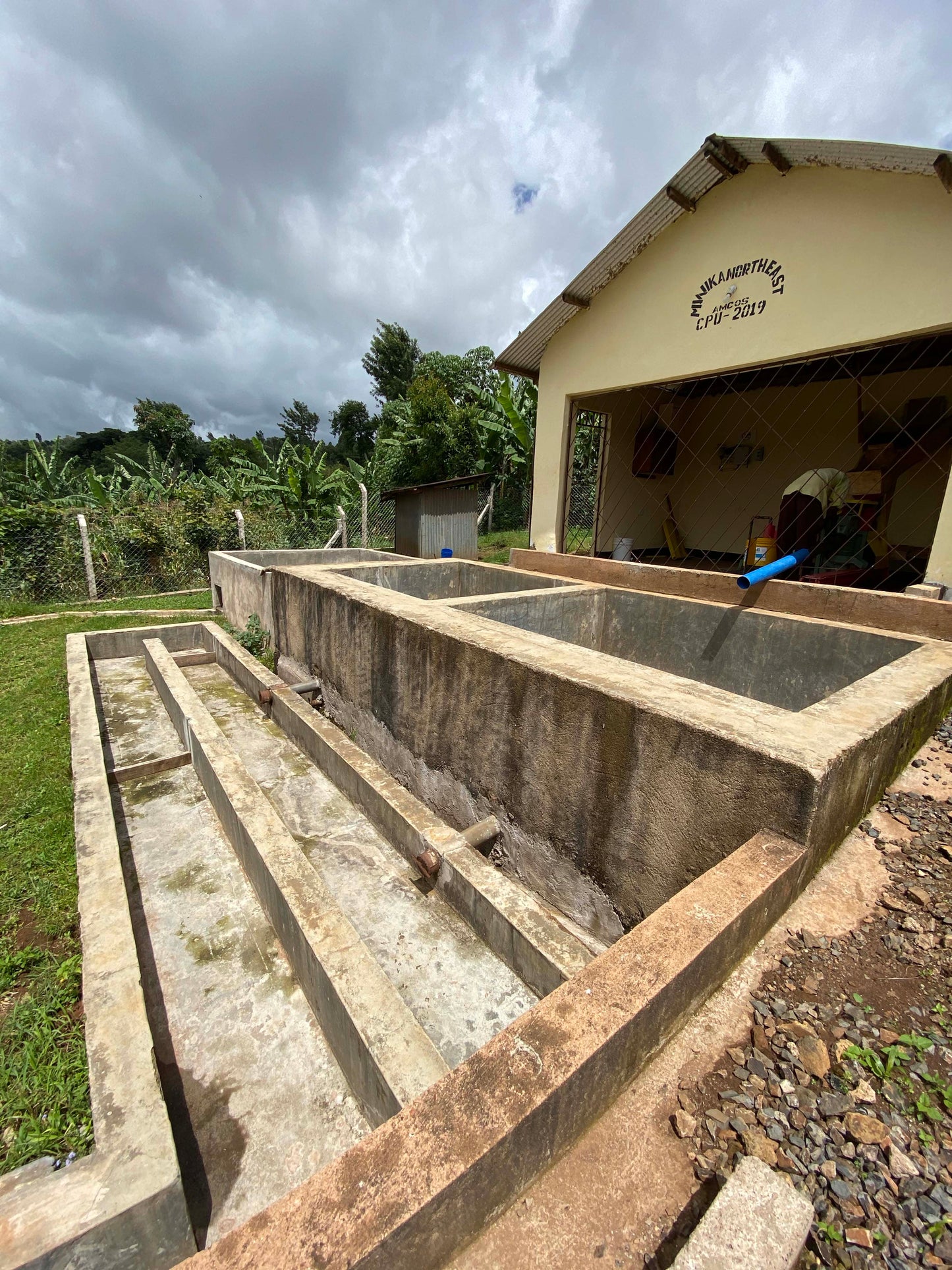 Concrete coffee washing vats at a central processing station